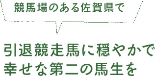 競⾺場のある佐賀県で引退競⾛⾺に穏やかで幸せな第⼆の⾺⽣を