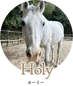 Holy - ホーリー